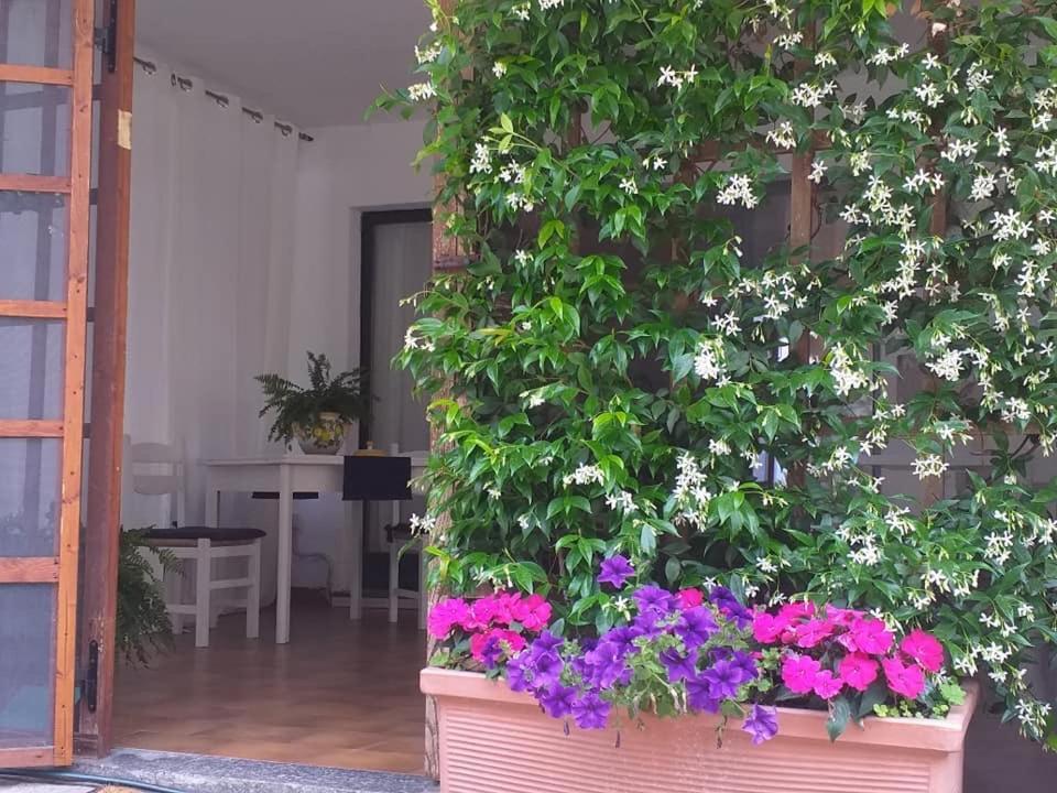 Alla Ghigliotta Viverone Buitenkant foto